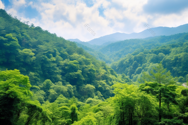 蓝天白云下的原野树林原始森林大自然风景,高清,摄影图,摄影图片,图片大全,摄影图免费下载